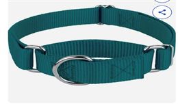 Martingale collar example